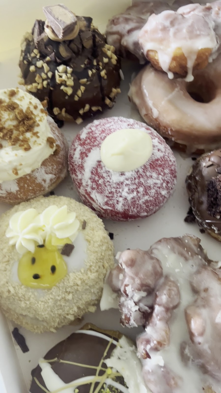 A tray of gourmet doughnuts at Burg World, glazed, red velvet and chocolate topped